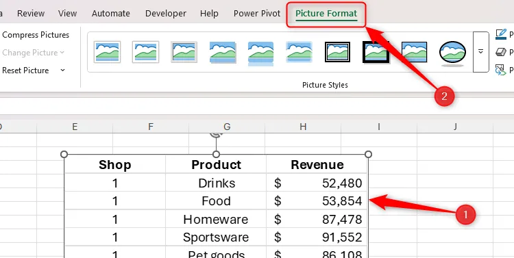 Ảnh chụp dữ liệu từ Excel được chọn, tab Picture Format đang mở