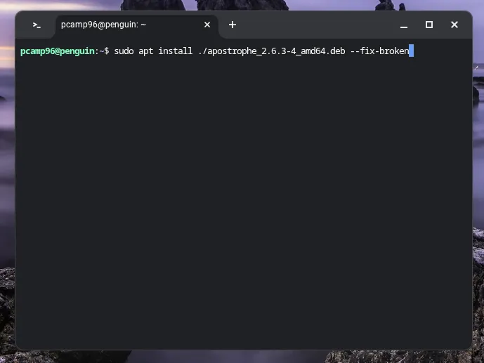 Cài đặt gói ứng dụng định dạng .deb bằng lệnh &quot;apt&quot; trên môi trường Linux của Chromebook.