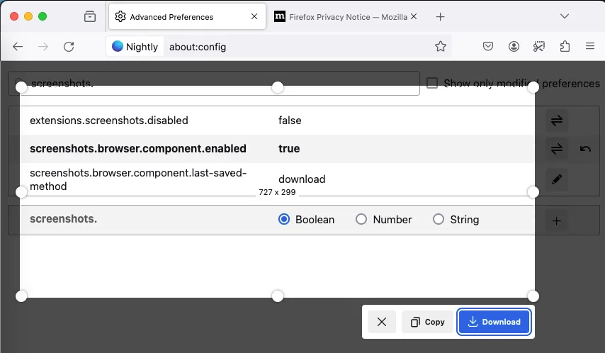 Giao diện công cụ chụp màn hình cải tiến của Firefox đang được thử nghiệm trên bản Nightly, cho phép chọn vùng hoặc chụp toàn bộ trang web.