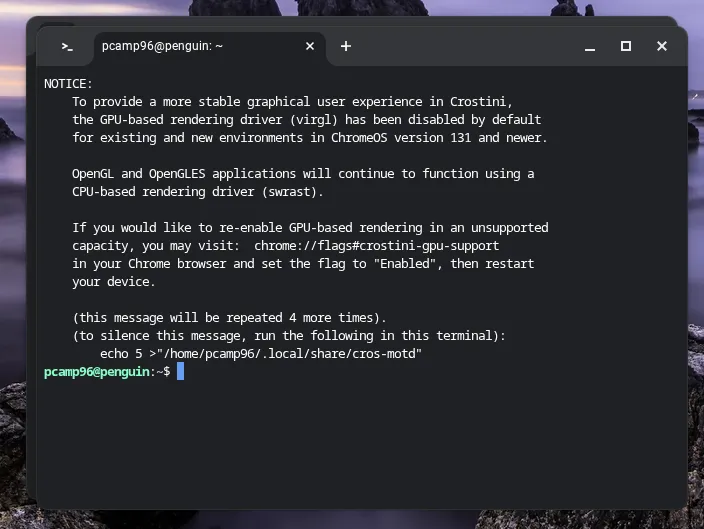 Giao diện dòng lệnh Linux (terminal) đã khởi chạy thành công trên Chromebook.