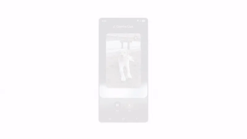 Giao diện Google Gemini Live hiển thị khả năng tương tác đa phương tiện với hình ảnh và video trên thiết bị di động