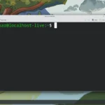Giao diện thiết bị đầu cuối Fedora KDE Plasma với các lệnh đang chạy