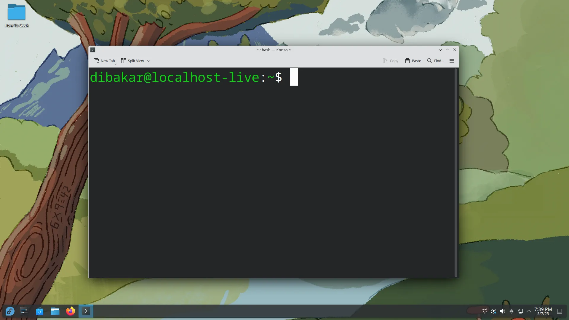 Giao diện thiết bị đầu cuối Fedora KDE Plasma với các lệnh đang chạy