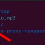 Liệt kê tất cả các file trong thư mục hiện tại bằng lệnh ls trên Ubuntu terminal