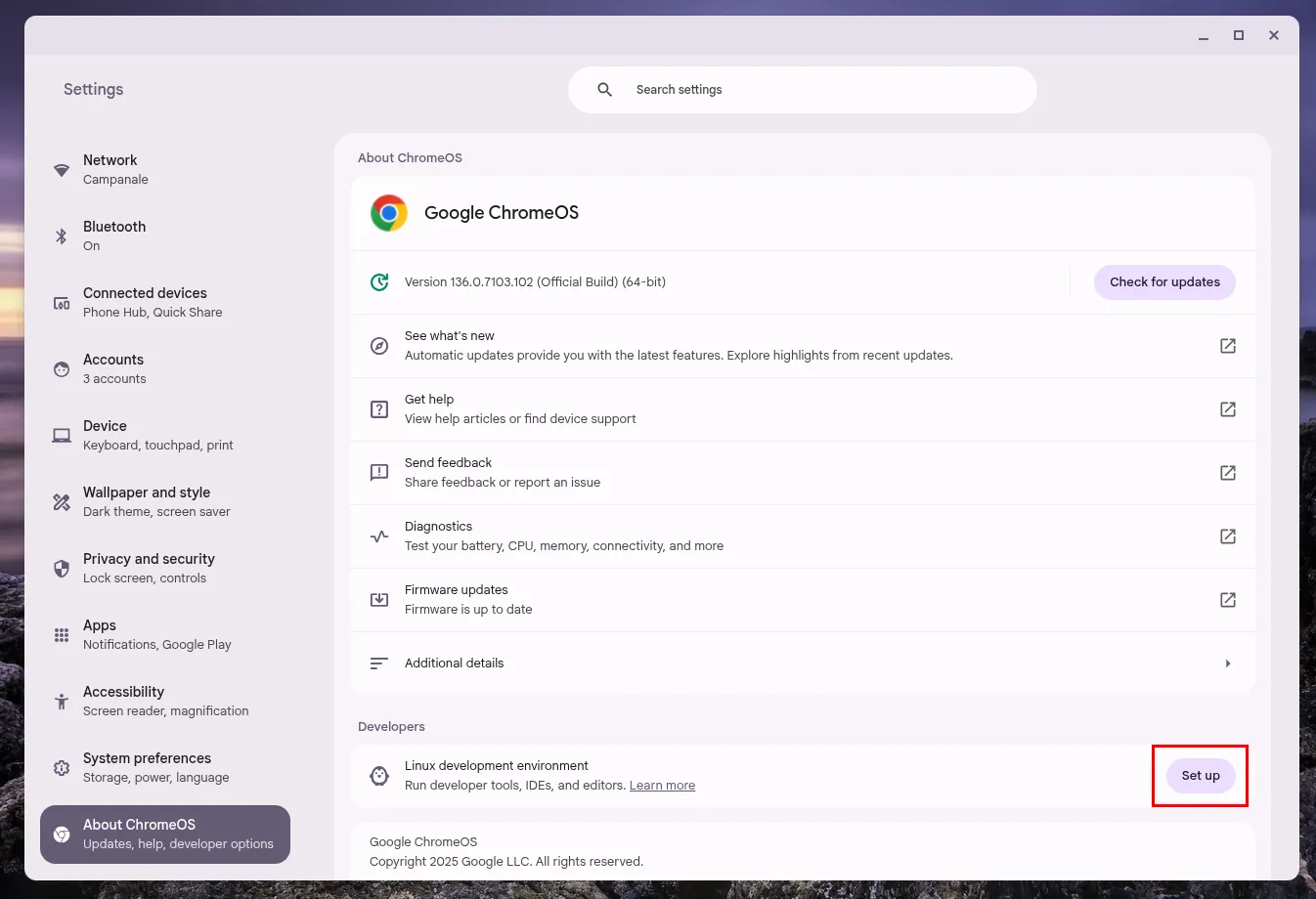 Màn hình Cài đặt ChromeOS với nút &quot;Thiết lập&quot; môi trường phát triển Linux được đánh dấu.