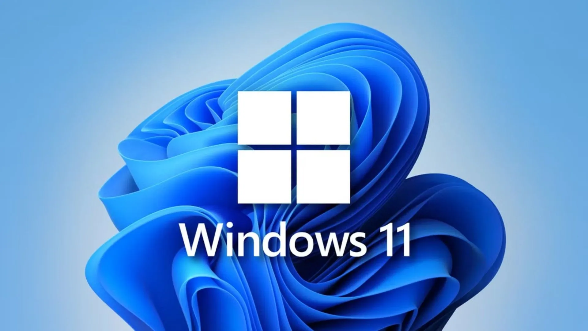 Màn hình laptop hiển thị giao diện Windows 11 với ứng dụng Photos và biểu tượng Copilot, minh họa các tính năng AI tích hợp