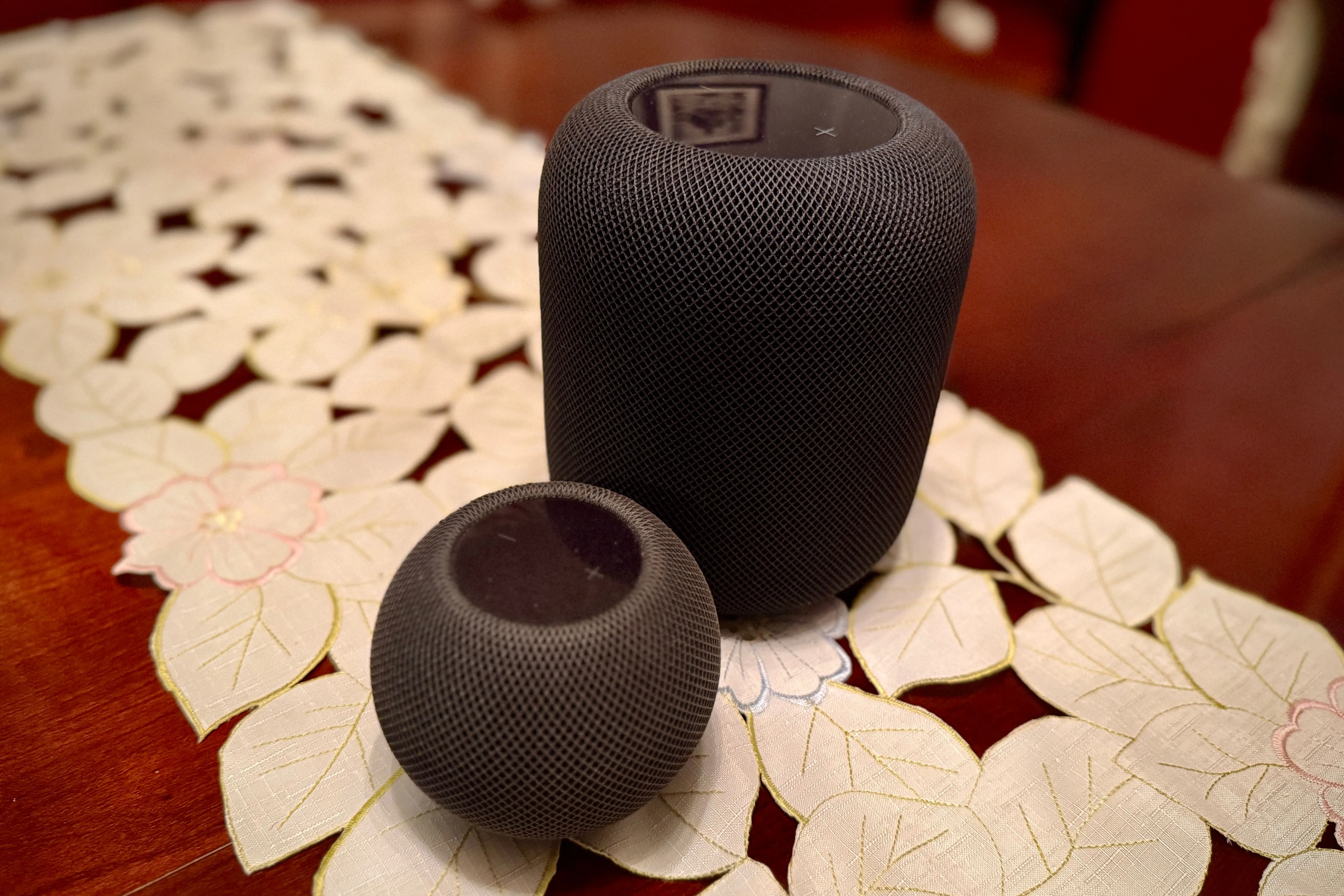 Mặt trên của một HomePod màu đen và một HomePod mini, hiển thị bề mặt cảm ứng.