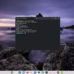 Môi trường terminal Linux hoạt động trên Chromebook hiển thị thông tin phiên bản.
