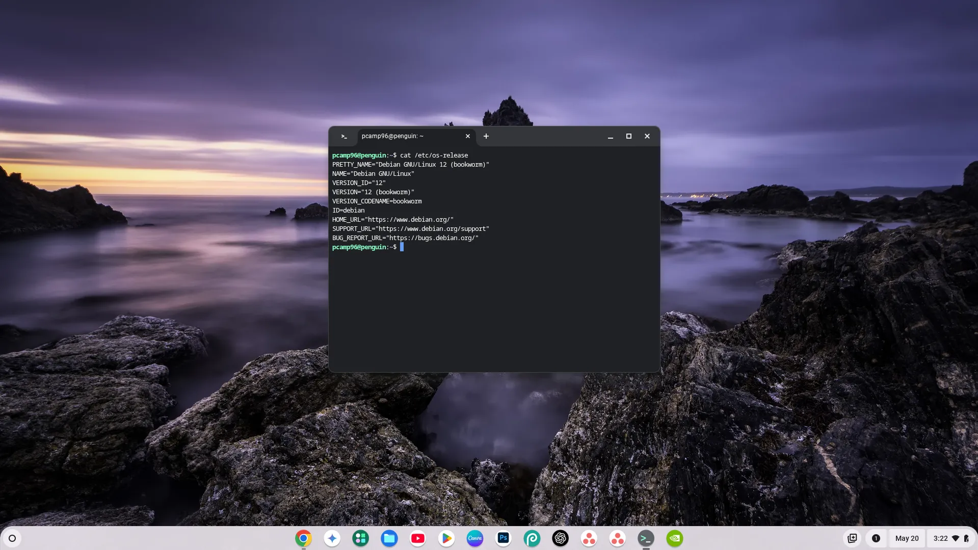 Môi trường terminal Linux hoạt động trên Chromebook hiển thị thông tin phiên bản.
