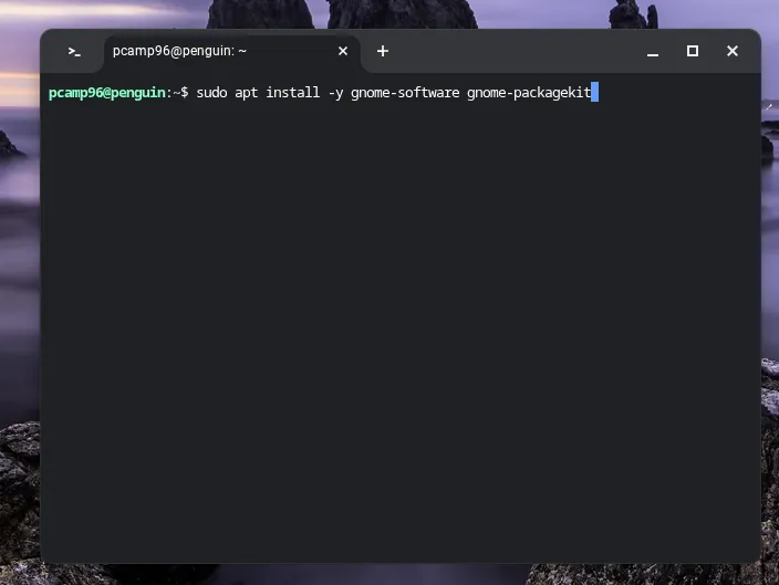 Tiến trình cài đặt ứng dụng qua lệnh &quot;apt&quot; trong terminal Linux trên Chromebook.