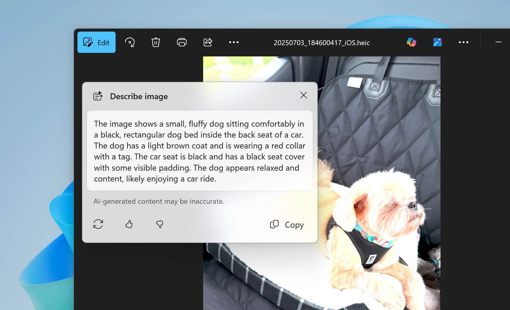Tính năng Describe Image của Windows 11 mô tả hình ảnh một chú chó Golden Retriever trong ứng dụng Ảnh