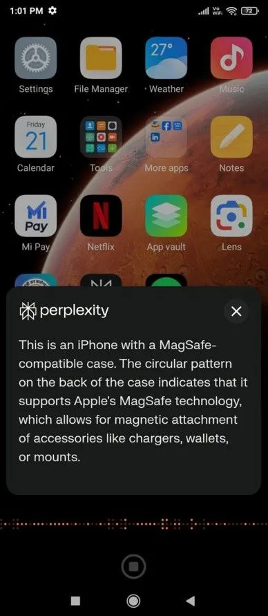 Trợ lý Perplexity AI đang phân tích và mô tả vật thể nhận diện được.