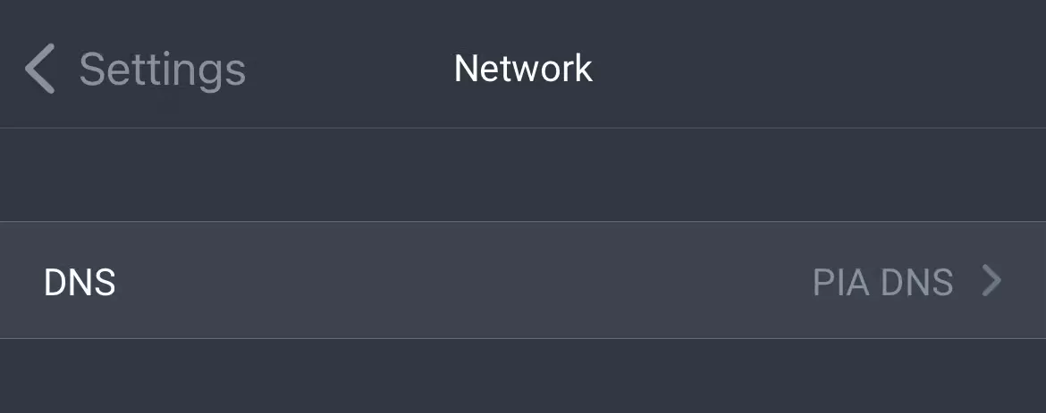 Tùy chọn In-Tunnel DNS được chọn trong cài đặt ứng dụng Private Internet Access dành cho iPhone, minh họa cách DNS được bảo vệ.