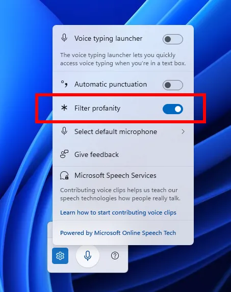 Tùy chọn 'Lọc từ ngữ thô tục' trong cài đặt Gõ giọng nói của Windows 11 Insider Preview Build 26120.3941.