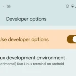 Tùy chọn môi trường nhà phát triển Linux trong Developer Options trên điện thoại Pixel Android